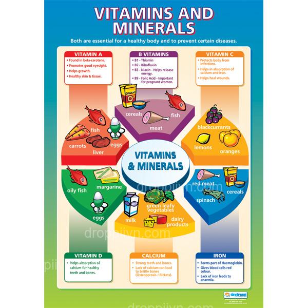 An overview of the key vitamins and minerals found in foods