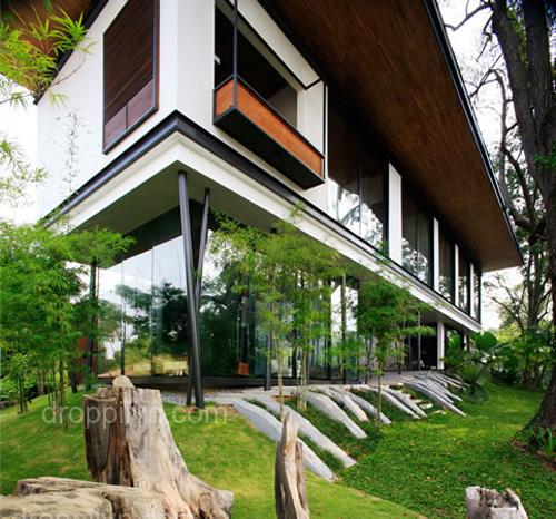Green home design ideas