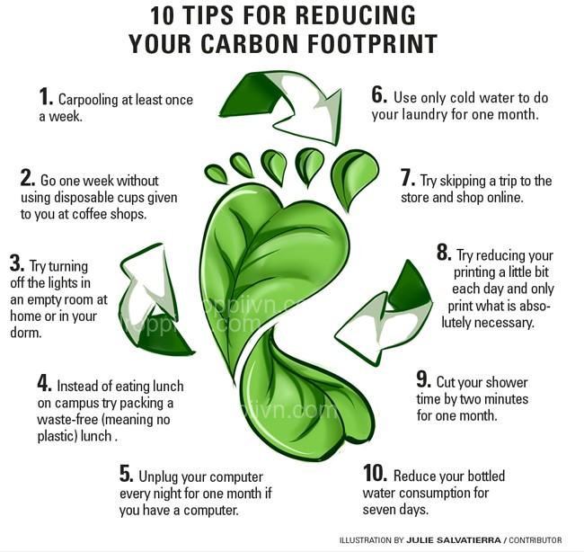 How to reduce your carbon footprint