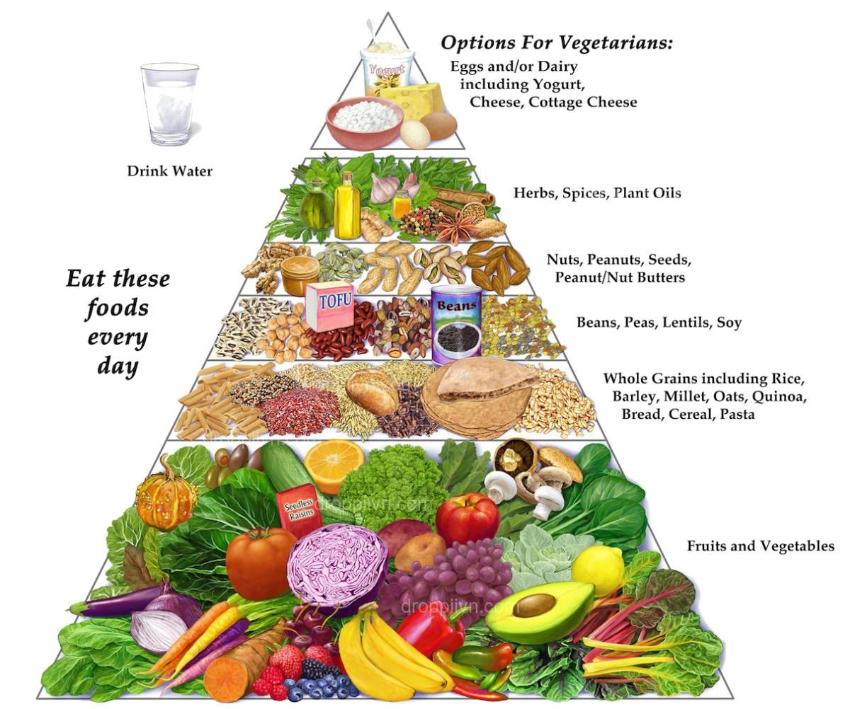 The nutritional benefits of different types of diets
