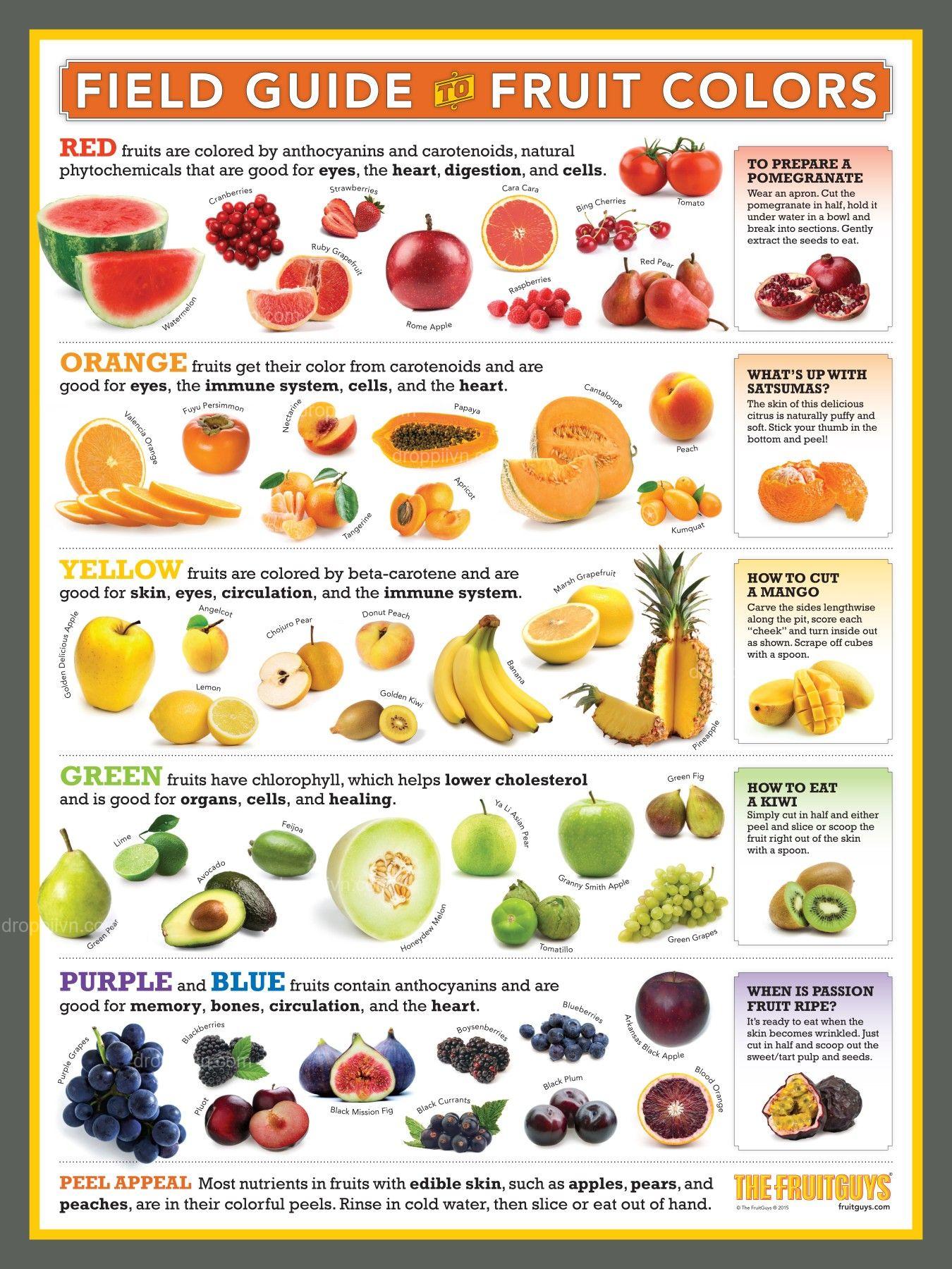 A guide to the nutritional makeup of various fruits and vegetables
