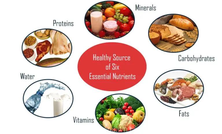 How different nutrients impact your health