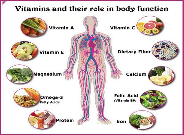 The role of vitamins, minerals, and other nutrients in a healthy diet